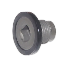 Load image into Gallery viewer, CUMMINS PLUG,THREADED